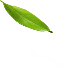 مساج الطائف